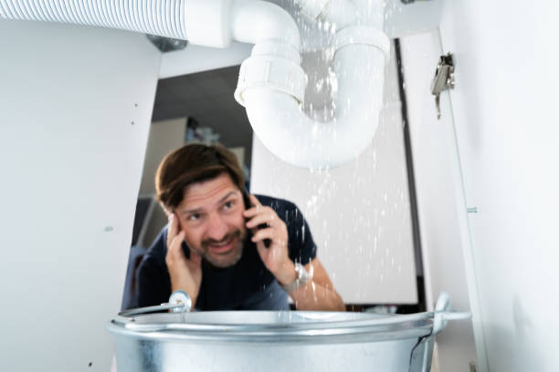 Best Local Plumber Services  in Fortuna Foothills, AZ